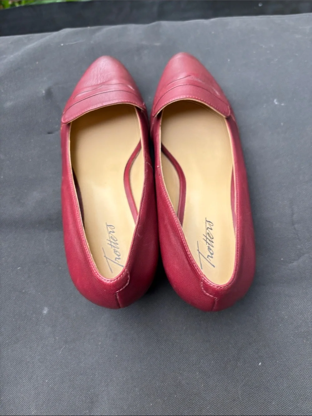 Trotters sleek pointed